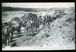 898 - TUNISIE - Caravane En Marche Du Caïd Ben Ganah - Túnez