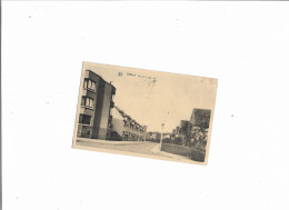 Carte Postale - Dilbeek