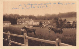 Neuvy Au Houlme * Le Haras Du Gazon * Thème Cheval Chevaux Horse Hippique Hippisme équitation - Other & Unclassified