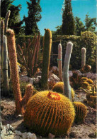 Fleurs - Plantes - Cactus - Eze Village - Le Jardin Exotique - CPM - Voir Scans Recto-Verso - Cactus