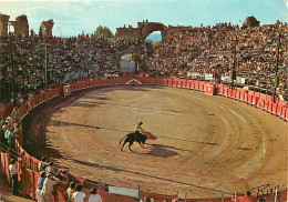 Corrida - Fréjus - Corrida Dans Les Arènes Romaines - CPM - Voir Scans Recto-Verso - Corridas