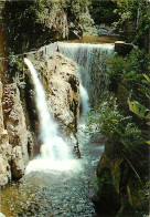 66 - Amélie Les Bains - Les Gorges Du Mondony - La Cascade D'Annibal - CPM - Voir Scans Recto-Verso - Autres & Non Classés