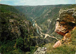 48 - Les Gorges Du Tarn - Vue Panoramique Sur Les Détroits Et La Vallée Du Tarn Vers Le Rozier Dominés Par Le Roc Des Ho - Gorges Du Tarn