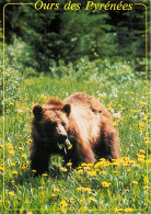 Animaux - Ours - Ours Des Pyrénées - Bear - CPM - Carte Neuve - Voir Scans Recto-Verso - Beren