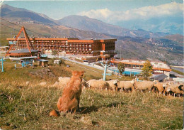 Animaux - Moutons - Le Corbier L'été (Savoie) - Chiens - CPM - Voir Scans Recto-Verso - Andere & Zonder Classificatie