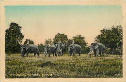Animaux - Eléphants - Inde - Elephant Group Cooge Behar - Animée - Colorisée - CPA - Voir Scans Recto-Verso - Elefantes