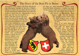 Animaux - Ours - La Fosse Aux Ours De Berne - Histoire De La Fosse Aux Ours - Zoo - Bear - CPM - Carte Neuve - Voir Scan - Bears