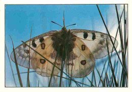 Animaux - Papillons - Flore Des Alpes - Papillon Apollon - CPM - Voir Scans Recto-Verso - Vlinders