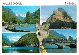 Animaux - Loups - Vallée D'Orlu - Multivues - Wolf - Lobo - CPM - Carte Neuve - Voir Scans Recto-Verso - Other & Unclassified