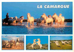Animaux - Chevaux - Camargue - Multivues - Chevaux Camarguais - Voir Scans Recto Verso  - Horses