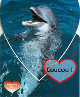 Animaux - Dauphins - CPM - Voir Scans Recto-Verso - Delfines