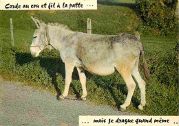 Animaux - Anes - Carte Humoristique - CPM - Voir Scans Recto-Verso - Anes