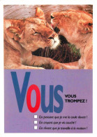 Animaux - Fauves - Lion - CPM - Voir Scans Recto-Verso - Leeuwen