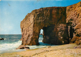 56 - Presqu'Ile De Quiberon - CPM - Voir Scans Recto-Verso - Quiberon