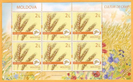 2019 Moldova Moldavie  Cereal Crops. Field Crops. Cereals Sheet Mint - Moldavië