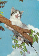 Tiere: Kätzchen Im Fliederbaum Ngl #G5218 - Andere & Zonder Classificatie