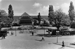 Ostseebad Heringsdorf Kuranlagen Mit Musikpavillon Gl1960 #169.526 - Andere & Zonder Classificatie