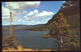 AK 211959 USA - Montana - St. Mary Lake From Sun Point - Glacier National Park - Altri & Non Classificati