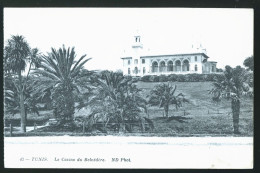 913 - TUNISIE - TUNIS - Le Casino Du Belvèdère - Túnez