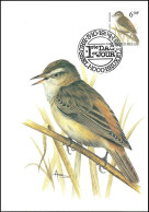 CM/MK° - Phragmite Des Joncs / Rietzanger / Rohrsänger / Sedge Warbler - BSL-BXL - 3-10-1994 -  BUZIN - 1985-.. Vögel (Buzin)