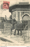 MARSEILLE Jardin Zoologique Eléphant - Parcs Et Jardins