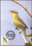CM/MK° - Phragmite Des Joncs / Rietzanger / Rohrsänger / Sedge Warbler - BXL-BSL - 3-10-1994 -  BUZIN - 1985-.. Birds (Buzin)
