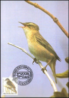 CM/MK° - Phragmite Des Joncs / Rietzanger / Rohrsänger / Sedge Warbler - BXL-BSL - 3-10-1994 -  BUZIN - 1985-.. Oiseaux (Buzin)