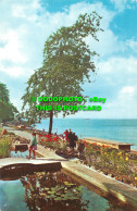 R515066 I. O. W. Ryde. Appley Gardens. Postcard - Monde