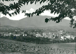 S. EGIDIO ALLA VIBRATA ( TERAMO ) PANORAMA - EDIZIONE TALAMONTI - SPEDITA 1967 (20735) - Teramo