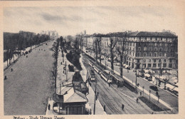 Milano Viale Vittorio Veneto - Milano