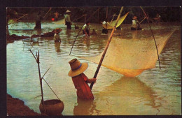 AK 211985 THAILAND - Thai Farmer's Fish-fishing - Thaïland