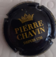 CAPSULE CHAMPAGNE PIERRE CHAVIN DEPUIS 1735  . SCAN - Other & Unclassified
