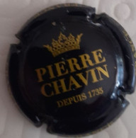 CAPSULE CHAMPAGNE PIERRE CHAVIN DEPUIS 1735  . SCAN - Sonstige & Ohne Zuordnung