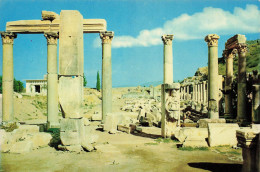 TURQUIE - Egenin Incisi - Izmir - Ephèse - Agora - Vue Sur La Place Du Marché - Carte Postale Ancienne - Turkey