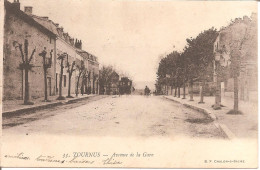 TOURNUS (71) Avenue De La Gare En 1903  (Dos Non Divisé) - Other & Unclassified