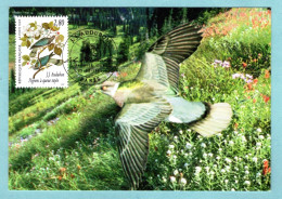 Carte Maximum 1995 - Les Oiseaux De John J. Audubon - Pigeons à Queue Rayée - YT 2932 - Paris - 1990-1999