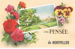 34  MONTPELLIER UNE PENSEE - Montpellier