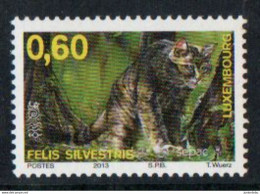Luxembourg  - 2013 - Felis Silvestris - MNH. ( OL 05/12/2022) - Big Cats (cats Of Prey)