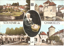 CHAROLLES (71) SOUVENIR De CHAROLLES - Carte Multivues En 1969  CPSM GF - Charolles