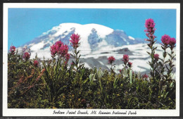 Washington, Mount Rainier NP, Indian Paint Brush, Unused - Other & Unclassified