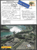 1999 (26 VI) 88 Cents Tree On Ppc To Czech Republic - Cartas & Documentos