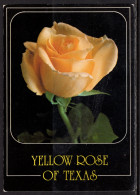 Yellow Rose Of Texas, Unused - Bloemen