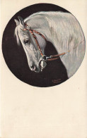 Cheval De Race ? * CPA Illustrateur * Horse Chevaux Hippisme Hippique Haras équitation - Horses