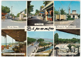 SIPONTO - MANFREDONIA - FOGGIA - 1977 - VEDUTE - Manfredonia