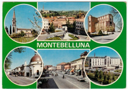 MONTEBELLUNA - TREVISO - 1975 - VEDUTE - Treviso