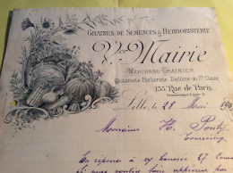 Botaniste Herboriste Semences Marchand Grainier LILLE 59 Hauts De France Nord 1905 - 1900 – 1949