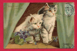 AE979 FANTAISIES CHATS ILLUSTRATEUR BOULANGER VIOLETTES CHATS TIMIDITE EN 1906 REF:AE979 - Other & Unclassified