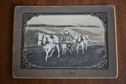 Cardboard Photo Scenes Romanian Farmer Horse Plow 1900-1910 - Other & Unclassified
