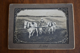 Cardboard Photo Scenes Romanian Farmer Horse Plow 1900-1910 - Autres & Non Classés