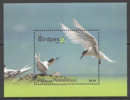 Ft208 2022 Penrhyn Birds Fauna Birdpex 9 White Fronted Terns Bl Mnh - Andere & Zonder Classificatie